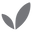Boody logo