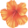 Mauna Loa logo