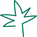 Hey Bud Skincare logo