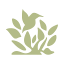 Little Seeds logo