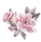 LoveShackFancy logo