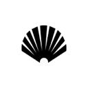 New Amsterdam Surf Association logo