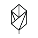 Pique logo
