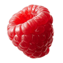 Trü Frü logo