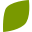 Viva Naturals logo